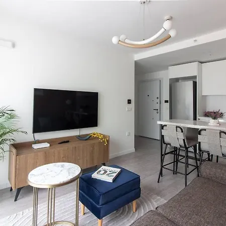 Charming And Chic 2br W Parking #84 公寓 伊斯坦布尔